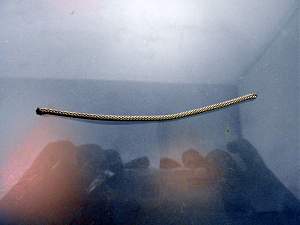 Click image for larger version. 

Name:	Braided1_resized.jpg 
Views:	1225 
Size:	267.8 KB 
ID:	10250
