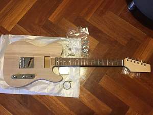 Click image for larger version. 

Name:	TLA-1 Guitar Build - 1 of 5.jpg 
Views:	623 
Size:	43.5 KB 
ID:	10692