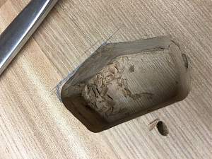 Click image for larger version. 

Name:	TLA-1 Guitar Build - 16.jpg 
Views:	400 
Size:	69.1 KB 
ID:	10749