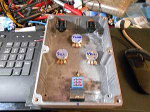Click image for larger version. 

Name:	Muff 2_resized.jpg 
Views:	563 
Size:	252.4 KB 
ID:	11648