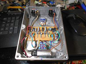 Click image for larger version. 

Name:	Muff 6_resized.jpg 
Views:	553 
Size:	277.9 KB 
ID:	11654
