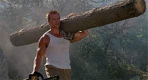 Click image for larger version. 

Name:	arnold-tree-trunk.jpg 
Views:	186 
Size:	78.0 KB 
ID:	12058