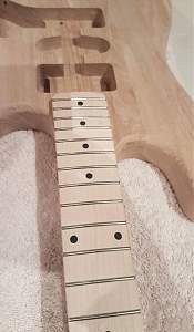 Click image for larger version. 

Name:	Neck Set.jpg 
Views:	295 
Size:	253.9 KB 
ID:	12518