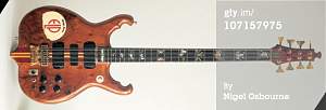Click image for larger version. 

Name:	GregLakeAlembic.jpg 
Views:	286 
Size:	73.3 KB 
ID:	12708