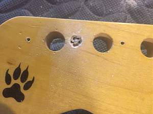 Click image for larger version. 

Name:	IMG_7334.JPG 
Views:	180 
Size:	117.4 KB 
ID:	12799