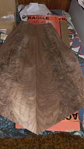 Click image for larger version. 

Name:	North California Clavo Walnut(Medium).jpg 
Views:	328 
Size:	207.4 KB 
ID:	12942