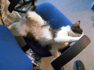 Click image for larger version. 

Name:	Funny Position_resized.jpg 
Views:	392 
Size:	214.9 KB 
ID:	13285