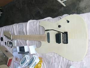 Click image for larger version. 

Name:	strat-2.jpg 
Views:	199 
Size:	153.9 KB 
ID:	13535