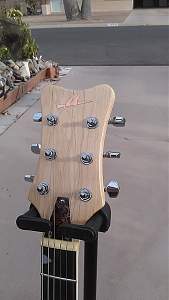 Click image for larger version. 

Name:	PITBULL HEADSTOCK.jpg 
Views:	443 
Size:	133.1 KB 
ID:	13585