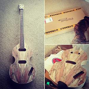 Click image for larger version. 

Name:	bass.jpg 
Views:	268 
Size:	206.5 KB 
ID:	13589