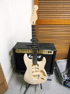 Click image for larger version. 

Name:	HotRod Neck Attached_resized.jpg 
Views:	244 
Size:	202.4 KB 
ID:	13685