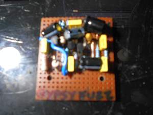 Click image for larger version. 

Name:	Gypsy Fuzz_resized.jpg 
Views:	466 
Size:	214.5 KB 
ID:	14134