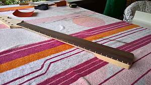 Click image for larger version. 

Name:	NeckFret03.jpg 
Views:	400 
Size:	751.8 KB 
ID:	14162