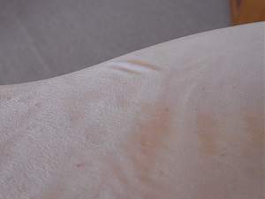 Click image for larger version. 

Name:	DSCN5363 r30.jpg 
Views:	747 
Size:	344.1 KB 
ID:	14287