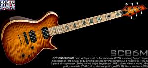 Click image for larger version. 

Name:	2guitars-scb6-1.jpg 
Views:	254 
Size:	83.2 KB 
ID:	14507