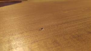 Click image for larger version. 

Name:	IMAG2840 (Copy).jpg 
Views:	469 
Size:	137.0 KB 
ID:	15019