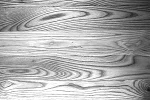 Click image for larger version. 

Name:	Grey-Ash-Grain.jpg 
Views:	399 
Size:	91.7 KB 
ID:	15434