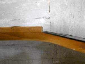 Click image for larger version. 

Name:	Neck Side_resized.jpg 
Views:	266 
Size:	176.4 KB 
ID:	15863