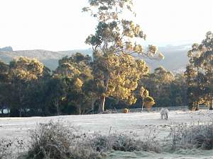 Click image for larger version. 

Name:	West.jpg 
Views:	261 
Size:	83.4 KB 
ID:	16264