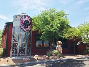 Click image for larger version. 

Name:	20130626bigdogsdrafthousestory.jpeg 
Views:	170 
Size:	104.2 KB 
ID:	16660