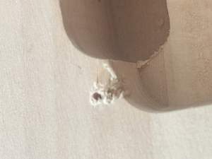 Click image for larger version. 

Name:	IMG_0137.jpg 
Views:	132 
Size:	24.5 KB 
ID:	1675