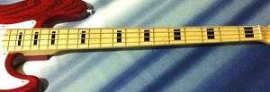 Click image for larger version. 

Name:	Block Fret Markers neck only.jpg 
Views:	864 
Size:	107.2 KB 
ID:	16818