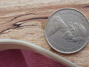 Click image for larger version. 

Name:	5c.jpg 
Views:	269 
Size:	276.2 KB 
ID:	17336