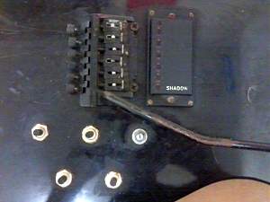 Click image for larger version. 

Name:	Bridge Closeup_resized.jpg 
Views:	612 
Size:	140.3 KB 
ID:	17530