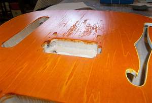 Click image for larger version. 

Name:	TL_1TB_204_body_patchy_1.jpg 
Views:	326 
Size:	171.4 KB 
ID:	17718