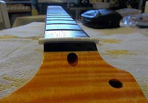 Click image for larger version. 

Name:	TL_1TB_256_nut_cut_5.jpg 
Views:	406 
Size:	191.0 KB 
ID:	17783