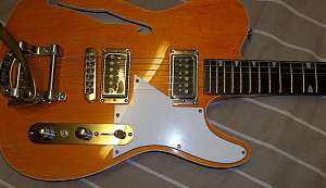 Click image for larger version. 

Name:	TL_1TB_282_stock_pickguard_bad_fit.jpg 
Views:	318 
Size:	178.6 KB 
ID:	18012