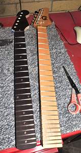 Click image for larger version. 

Name:	necks.jpg 
Views:	186 
Size:	147.7 KB 
ID:	19348