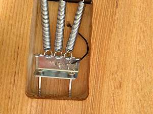 Click image for larger version. 

Name:	GuitarBuild00014.jpg 
Views:	344 
Size:	182.0 KB 
ID:	19754