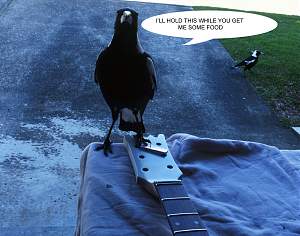 Click image for larger version. 

Name:	mag.jpg 
Views:	140 
Size:	320.1 KB 
ID:	20417