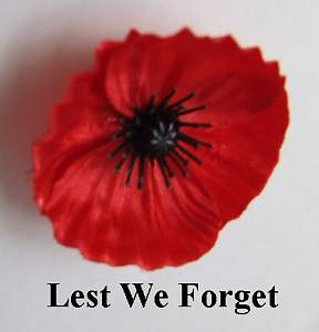 Click image for larger version. 

Name:	Poppy.jpg 
Views:	182 
Size:	15.1 KB 
ID:	215