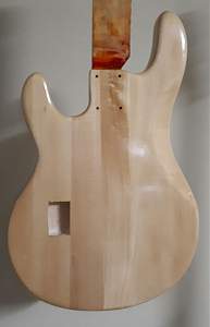Click image for larger version. 

Name:	Body rear.jpg 
Views:	448 
Size:	93.5 KB 
ID:	21661