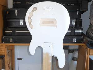 Click image for larger version. 

Name:	undercoat-2.jpg 
Views:	199 
Size:	56.3 KB 
ID:	21812