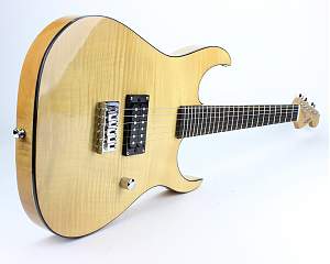 Click image for larger version. 

Name:	PBG-X1-FN.jpg 
Views:	401 
Size:	547.0 KB 
ID:	21943