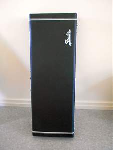 Click image for larger version. 

Name:	New Strat Case_resized.jpg 
Views:	170 
Size:	175.9 KB 
ID:	22265