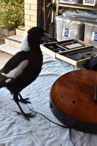 Click image for larger version. 

Name:	DSC_0029.jpg 
Views:	270 
Size:	129.6 KB 
ID:	22274