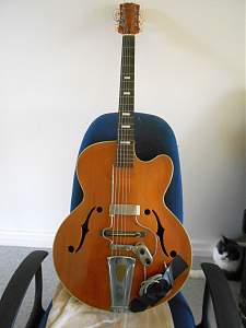 Click image for larger version. 

Name:	70s Hollow Body_resized.jpg 
Views:	455 
Size:	216.4 KB 
ID:	22596