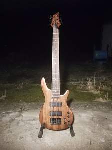 Click image for larger version. 

Name:	bass_finished.jpg 
Views:	217 
Size:	65.5 KB 
ID:	23038