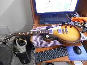Click image for larger version. 

Name:	Gibson USA LP Studio_resized.jpg 
Views:	393 
Size:	287.0 KB 
ID:	24235