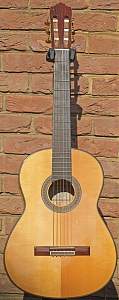 Click image for larger version. 

Name:	Yamaha Flamenco small.jpg 
Views:	246 
Size:	325.9 KB 
ID:	24474