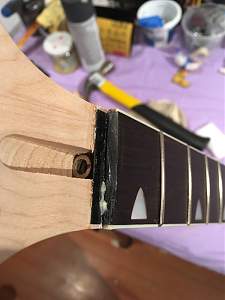 Click image for larger version. 

Name:	Gilly's GR-!SF nut 2.jpg 
Views:	246 
Size:	134.9 KB 
ID:	24958
