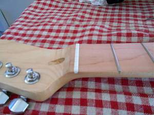 Click image for larger version. 

Name:	New Bone Nut_resized.jpg 
Views:	340 
Size:	260.2 KB 
ID:	25021