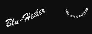 Click image for larger version. 

Name:	blue1919 - Copy.JPG 
Views:	294 
Size:	14.2 KB 
ID:	25067