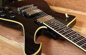 Click image for larger version. 

Name:	ibanez-iceman.jpg 
Views:	512 
Size:	85.2 KB 
ID:	25244