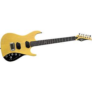 Click image for larger version. 

Name:	Moog Guitar.jpg 
Views:	221 
Size:	24.6 KB 
ID:	26165
