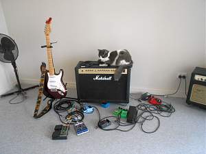 Click image for larger version. 

Name:	Marshall And Strat_resized.jpg 
Views:	233 
Size:	221.0 KB 
ID:	26326